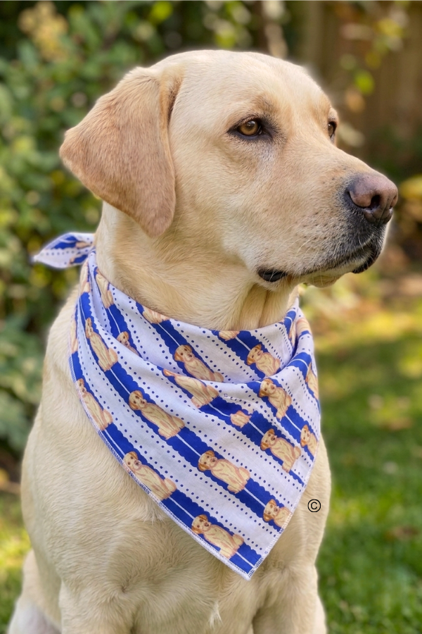 SC - ETA 7/30-8/13 All American Charlie Bandana©