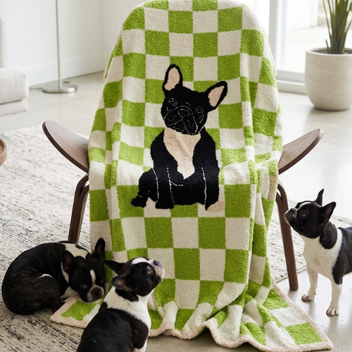 SC - ETA 6/30 - Walter Wiggles Check Blanket©