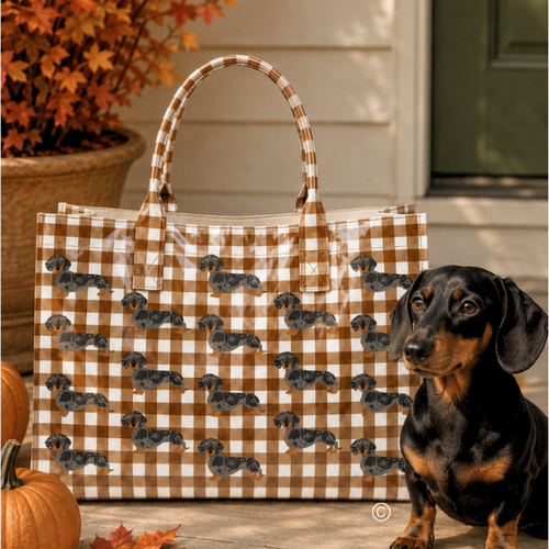 SC - ETA 9/30-10/14 The Chloe Brown Gingham Vinyl Tote Bag