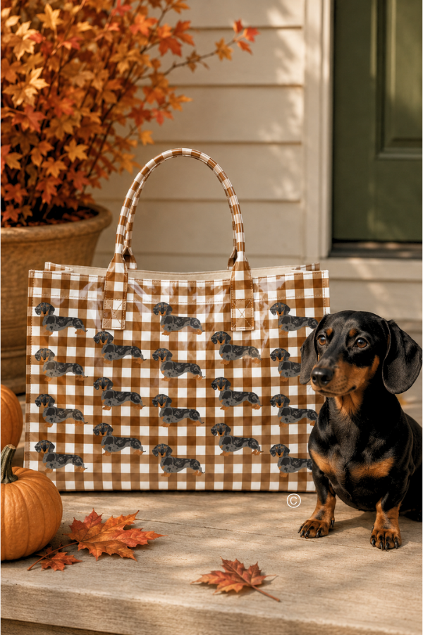SC - ETA 9/30-10/14 The Chloe Brown Gingham Vinyl Tote Bag