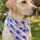 SC - ETA 7/30-8/13 All American Charlie Bandana©