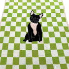 SC - ETA 6/30 - Walter Wiggles Check Blanket©