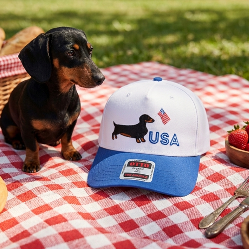 SC - Red White and Woof Embroidered Hat