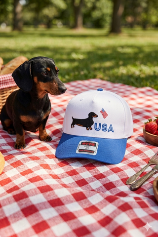 SC - Red White and Woof Embroidered Hat