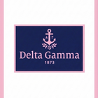 SC - ETA 6/1 - Delta Gamma Luxury Blanket