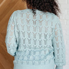 Hole In One Sheer Pointelle Knit Sweater
