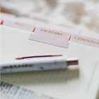 Blush | Bible Tabs