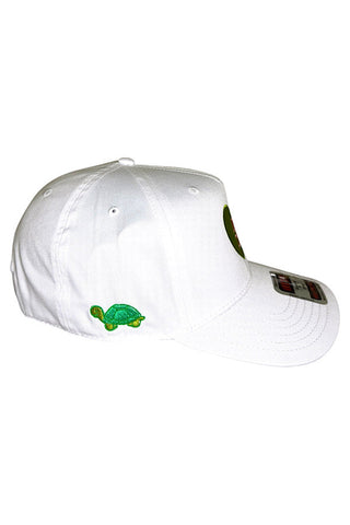 SC - Delta Zeta Embroidered Hat
