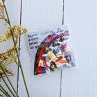 Jesus Pocket Figurine Pack
