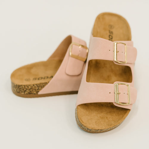 Jete Nubuck Double Buckle Slides in Blush