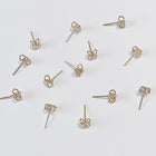 Clover Stud